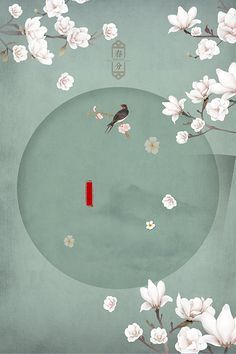 水宜方spa在线观看